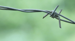 اجرای سیم خاردار در تهران