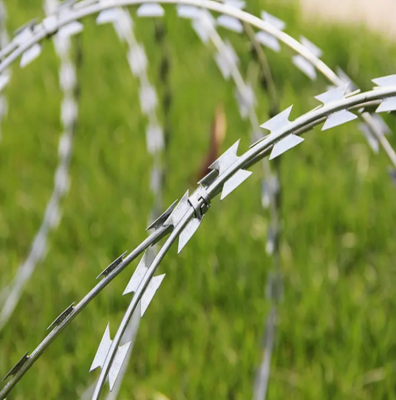 سیم خاردار طبری