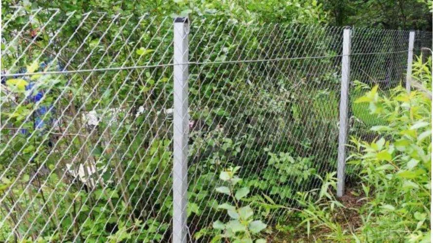 تصویر فنس نصب شده در باغ